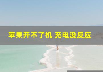 苹果开不了机 充电没反应